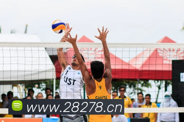 开云kaiyun网页版体验服务体系